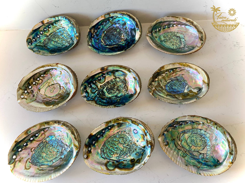 Abalone Shell Smudge Bowls (Large)